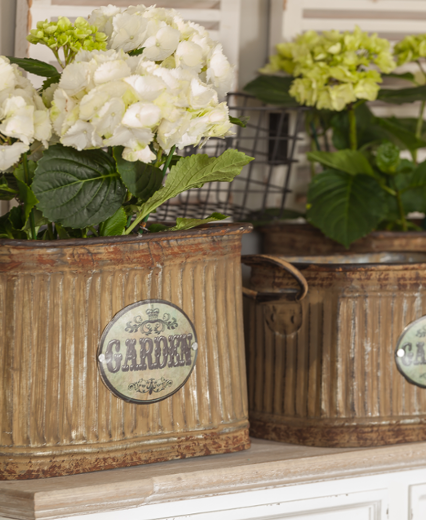 Dzień Kobiet w Patiomeble