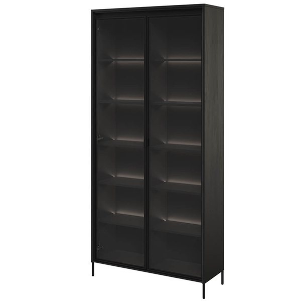 TREND TR-07 - Witryna 2-drzwiowa Z Oświetleniem Czarna