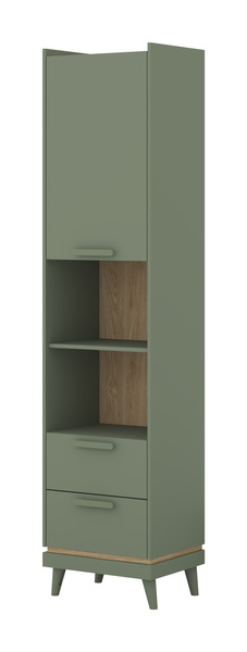 Scandi - Regał 1D2S Zgaszona Zieleń Dąb Olejowany