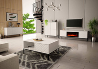 ASPEN-02 - Komoda RTV 2D z Kominkiem Elektrycznym Biały Mat Czarny Stelaż