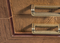 TADEUSZ-8 - Witryna 2D2S Dąb Lefkas