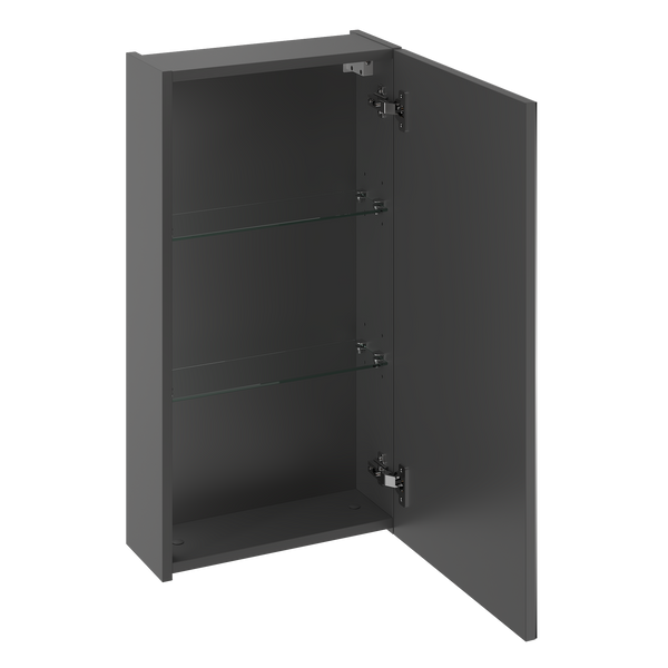 LUSTRO-03 - Szafka Wisząca z Lustrem 1D 40cm Szary Mat