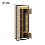 QUANT QA-03 - Witryna 1D1W Z Oświetleniem Dąb Artisan/Czarna