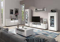 Ravenna RAVV01R – Witryna 1-drzwiowa Biały Alpejski/Czarny/Biały Połysk