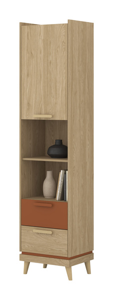 Scandi - Regał 1D2S Dąb Olejowany Ceglany