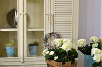 Pesaro 09 Witryna 8D prowansalska kremowa drewno/mdf