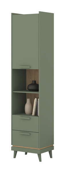 Scandi - Regał 1D2S Zgaszona Zieleń Dąb Olejowany