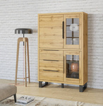 Halle WM Witryna 3D3S Dąb Wotan