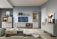 Rivero RIVF01 - Komoda RTV 1D2S Szara/Dąb Flagstaff Ciemna