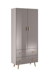 Brillo S2D2S - Szafa 2-drzwiowa 2 Szuflady Szara