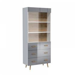 Brillo W2D2S - Witryna 2-drzwiowa 2 Szuflady Szara